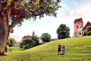 分享快乐-你的兴趣和快乐会感染到别人吗?